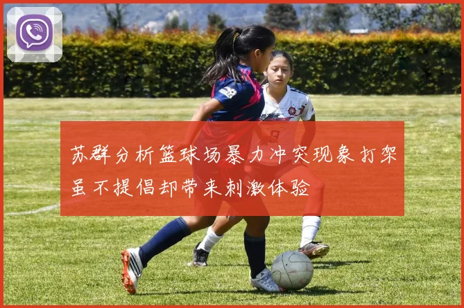 苏群分析篮球场暴力冲突现象打架虽不提倡却带来刺激体验