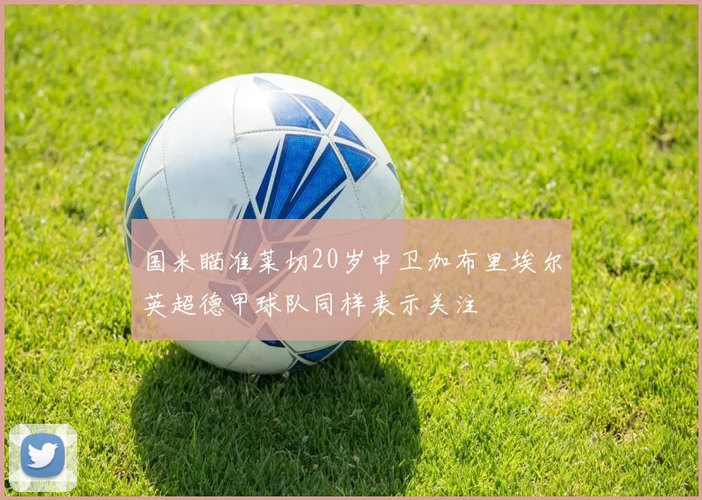 国米瞄准莱切20岁中卫加布里埃尔英超德甲球队同样表示关注
