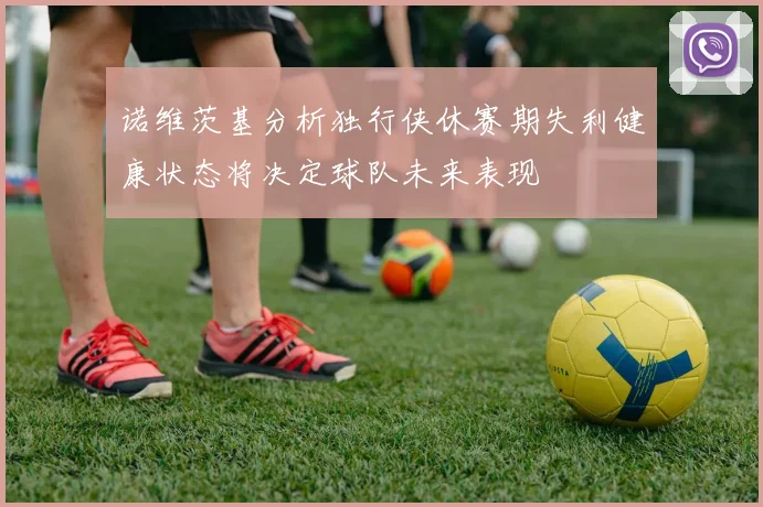 诺维茨基分析独行侠休赛期失利健康状态将决定球队未来表现